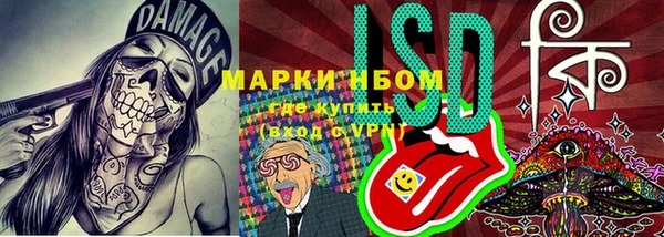 эйфоретик Алзамай