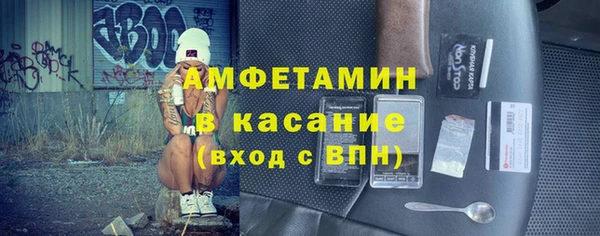 шишки Абаза