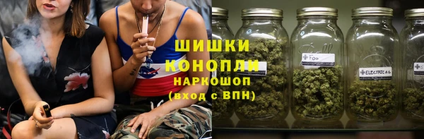 шишки Абаза