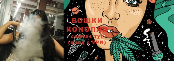 ГАЛЛЮЦИНОГЕННЫЕ ГРИБЫ Аркадак