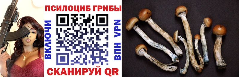 Галлюциногенные грибы Magic Shrooms  Яхрома 